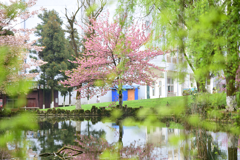 贵州师范大学求是学院招生章程-2019年普通类本科