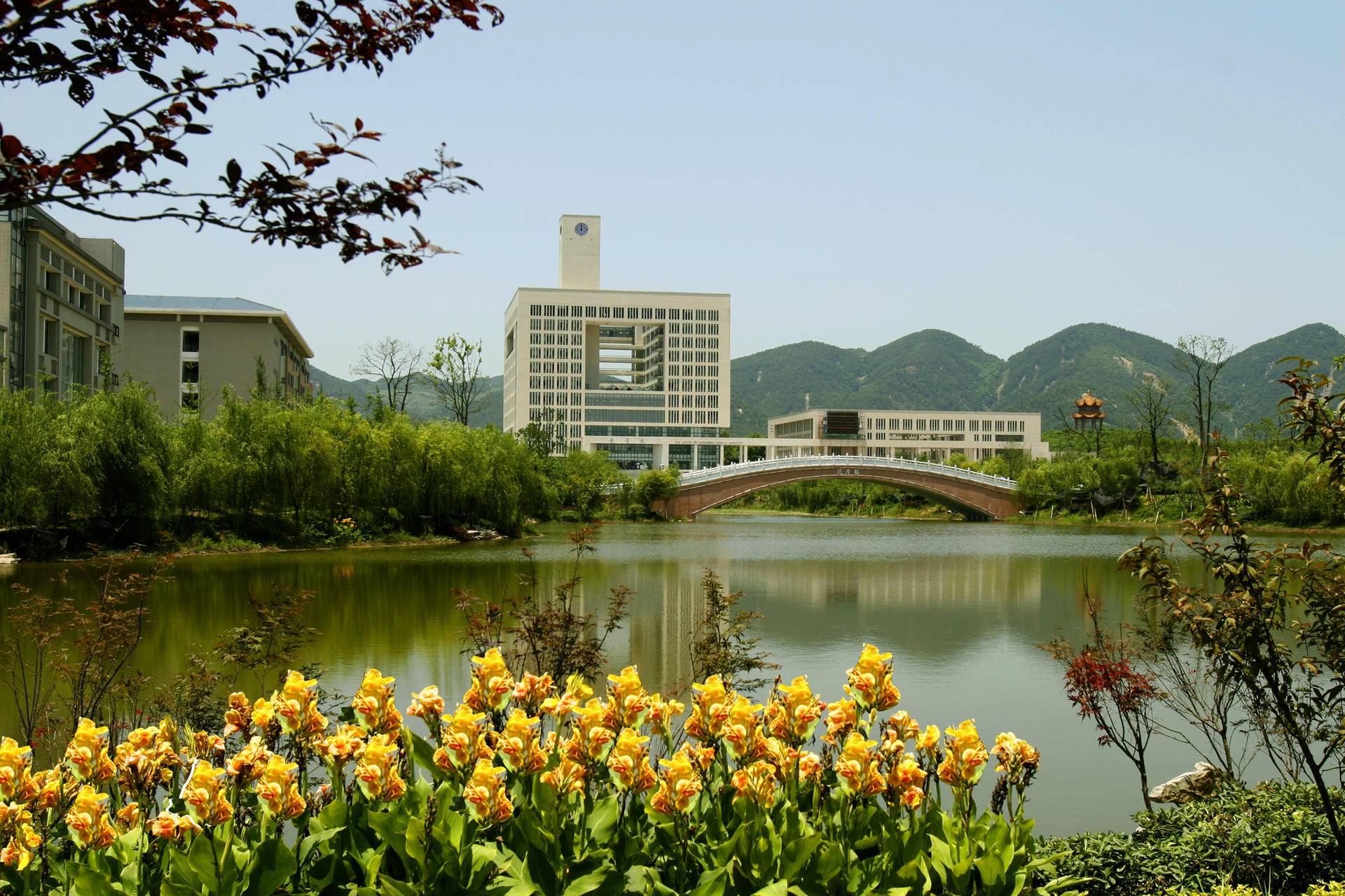 新高考重庆师范大学选科方案-重庆师范大学必选科目