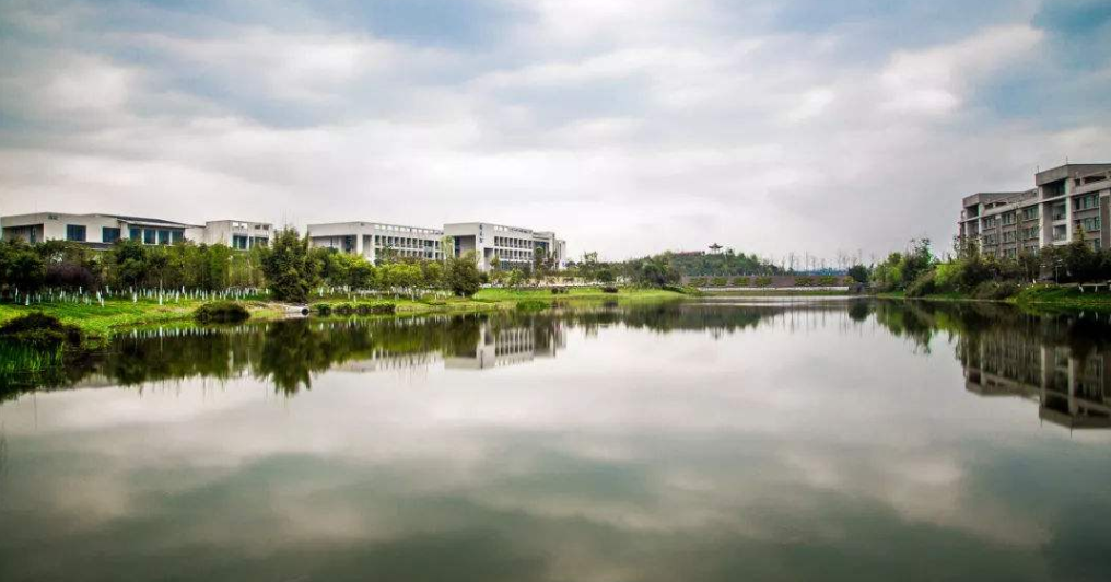 重庆理工大学材料类哪个专业好?重庆理工大学有博士点吗?