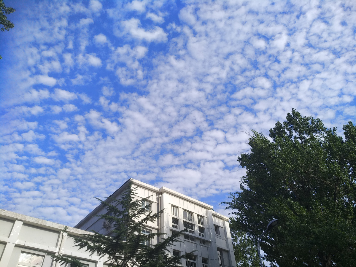 天津醫(yī)科大學新高考選科要求-天津醫(yī)科大學選科對應專業(yè)