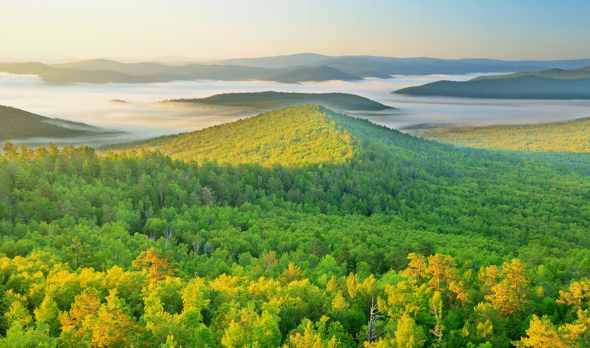 化学和地理哪个容易得赋分？地理容易赋分吗？