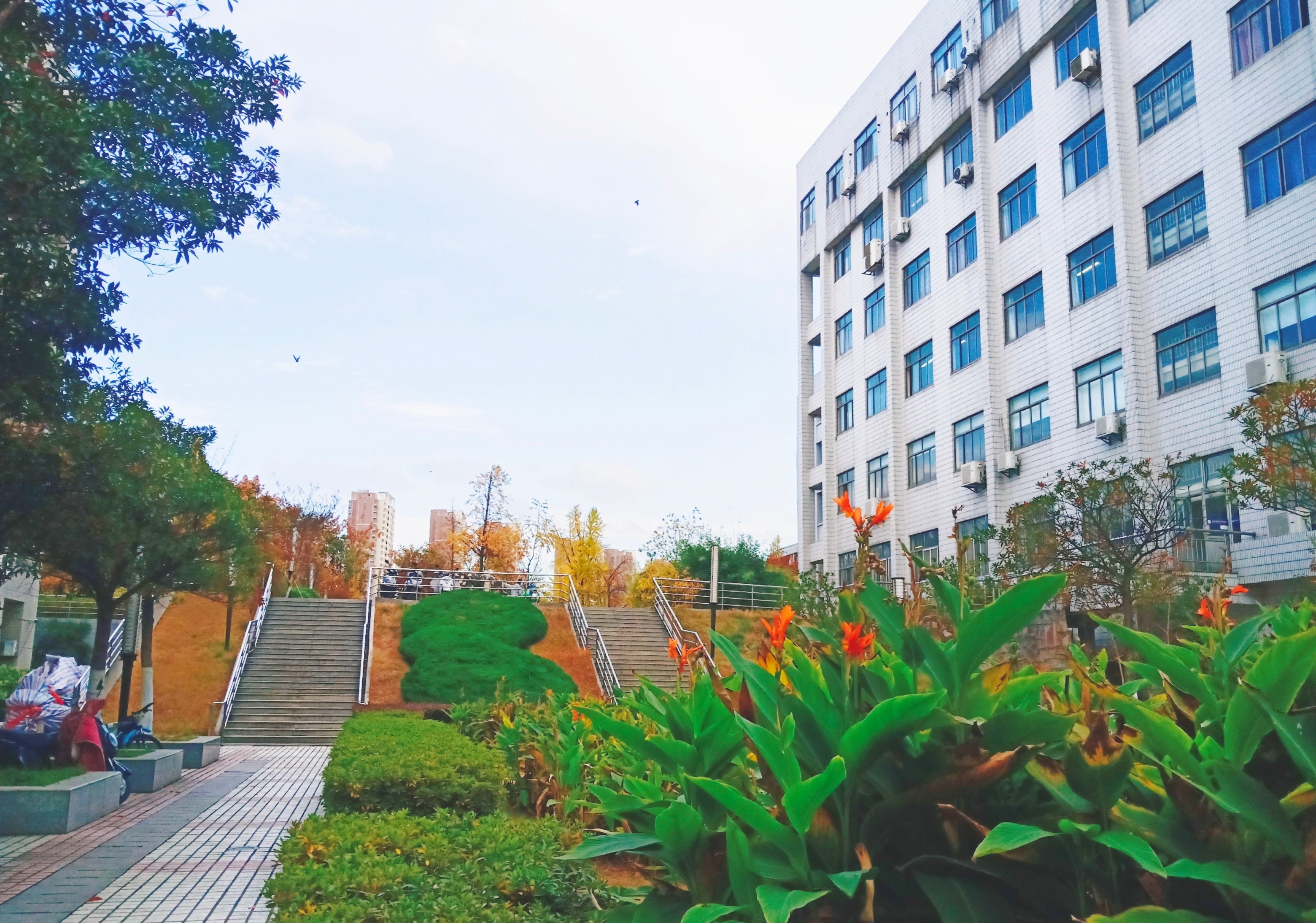 临床检验技师考试真题_临床医学检验技师考试_临床医学检验技师报名时间