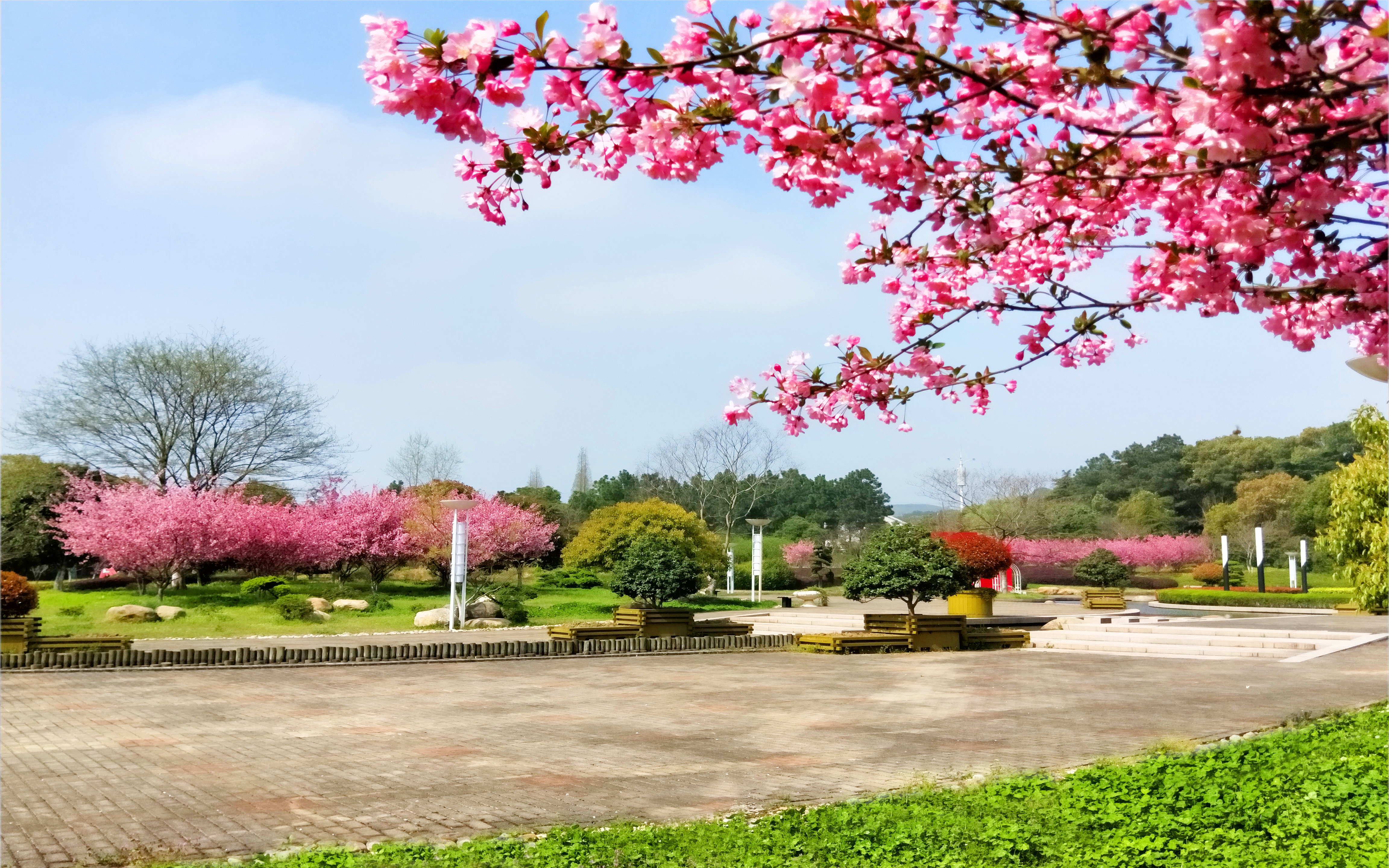 无锡太湖学院风景照图片