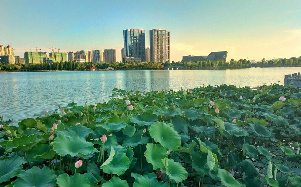 湖北最好考的大學有哪些？湖北考哪里的大學容易？附排名