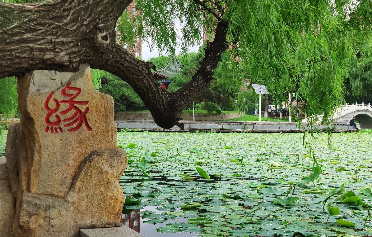 東北師范大學算名牌大學嗎？南方認可東北師大嗎？