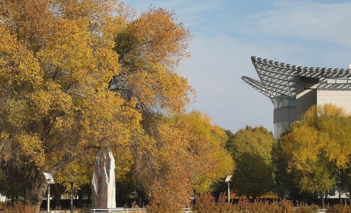 石河子大學(xué)是重點大學(xué)嗎？附石河子大學(xué)在211中的排名