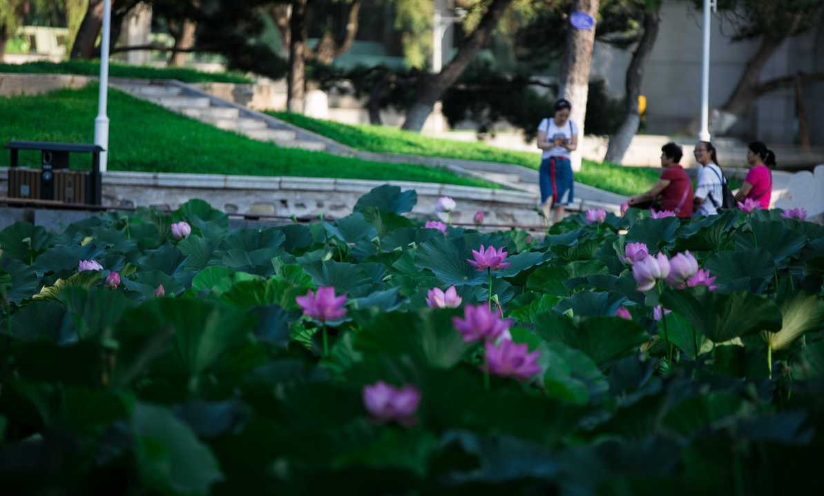 英语专业最好的师范大学有哪些？附师范大学英语专业好的大学排名