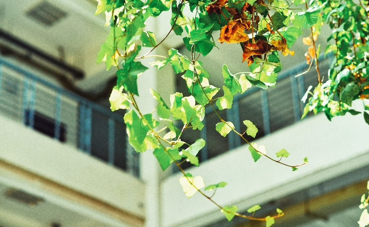 西安外国语大学适合男生的专业:西安外国语大学男生多吗?