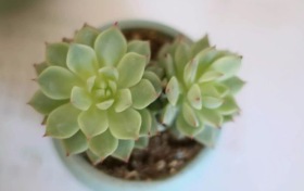 辽宁装备制造职业技术学院王牌专业及全国排名