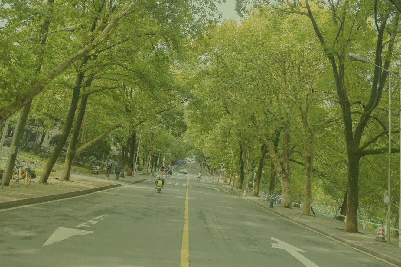 985大学在湖南省录取分数线排名（2021年理科、文科高考生参考）