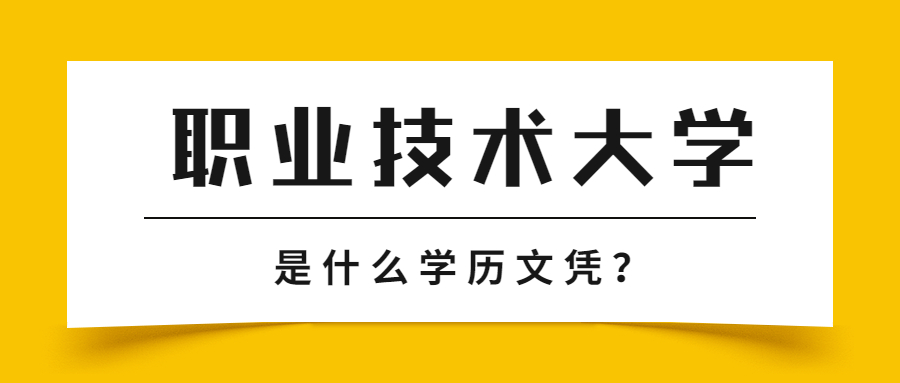 00后学历低应该创业什么好_00后没学历最吃香的职业_00后学历不高做什么才有出路