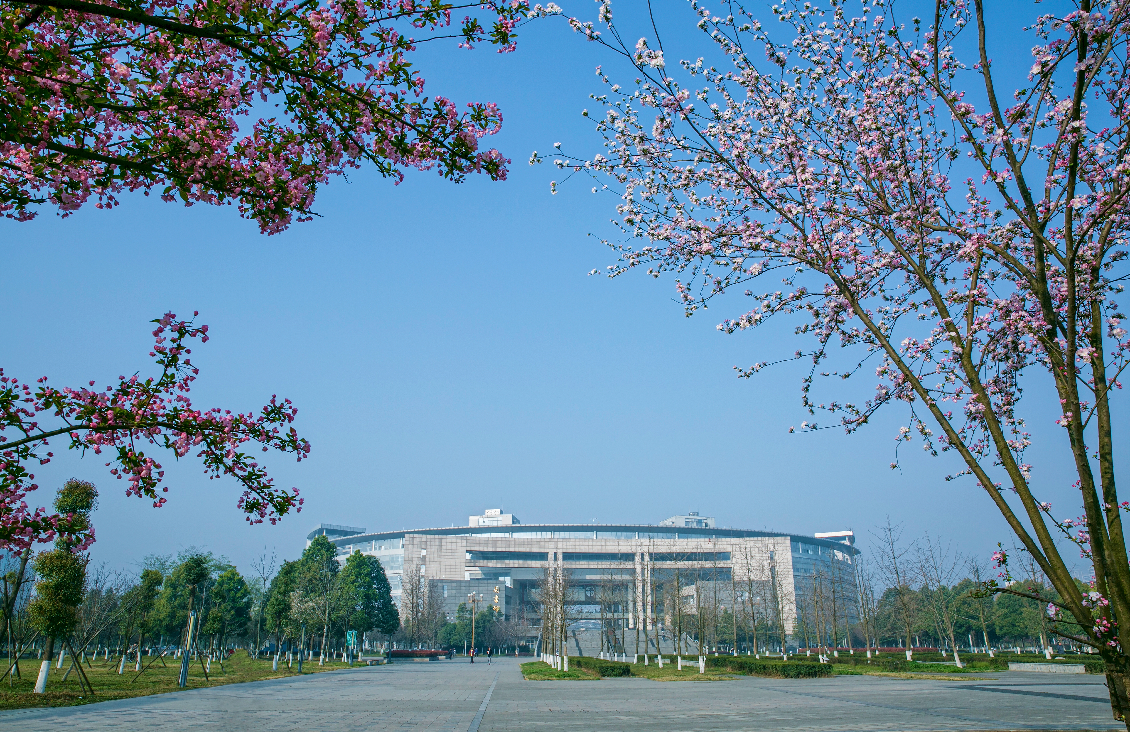 西南交通大学在全国大学排名_西南交通大学排第几名_西南交通大学什么档次