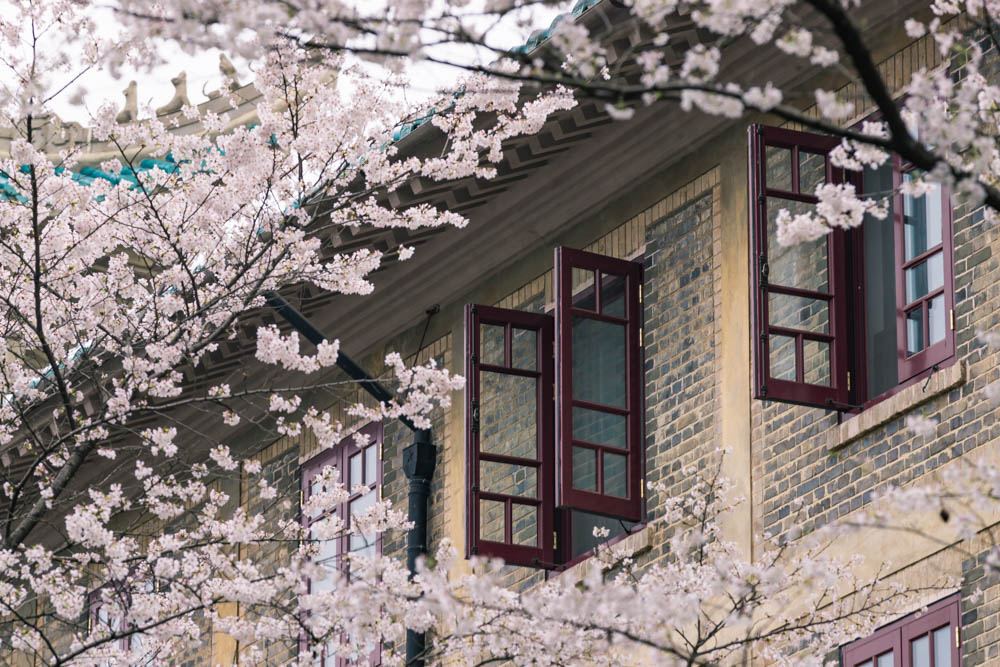 中国十大环境优美大学国内十大最美大学校园排名