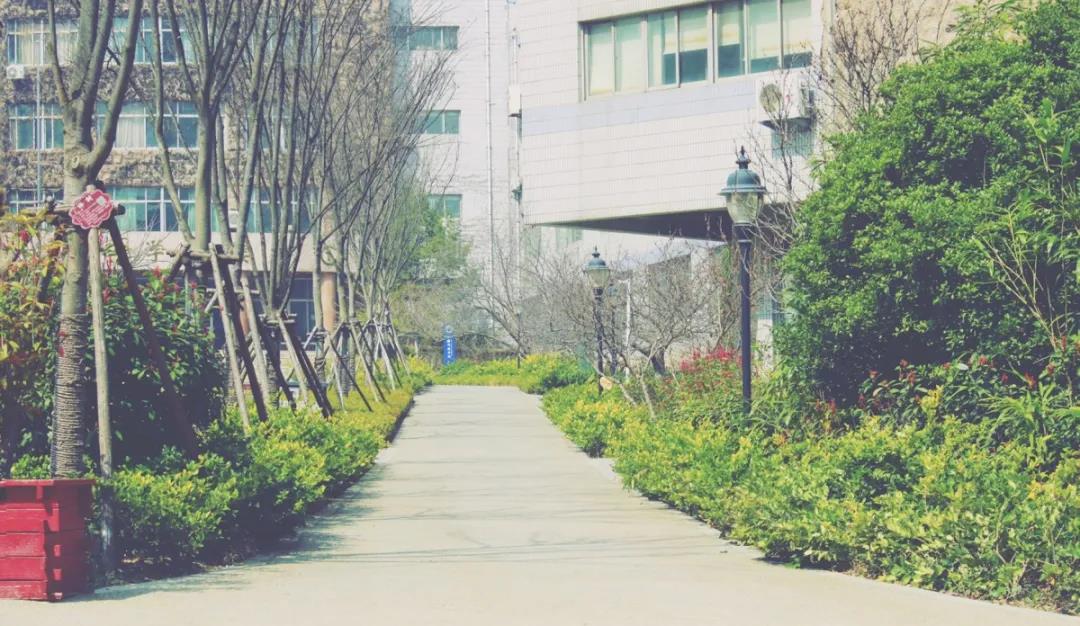 山东最好考的民办三本大学-山东民办垫底的学校