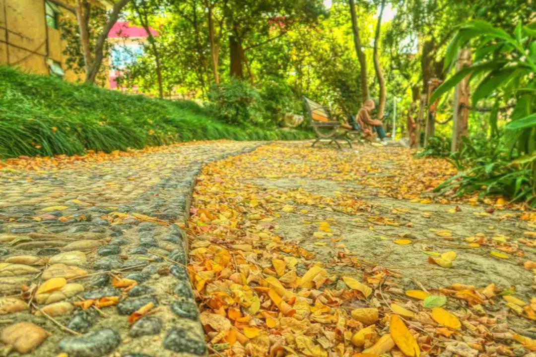 哪些高校毕业可以落户上海？附上海落户一类高校名单