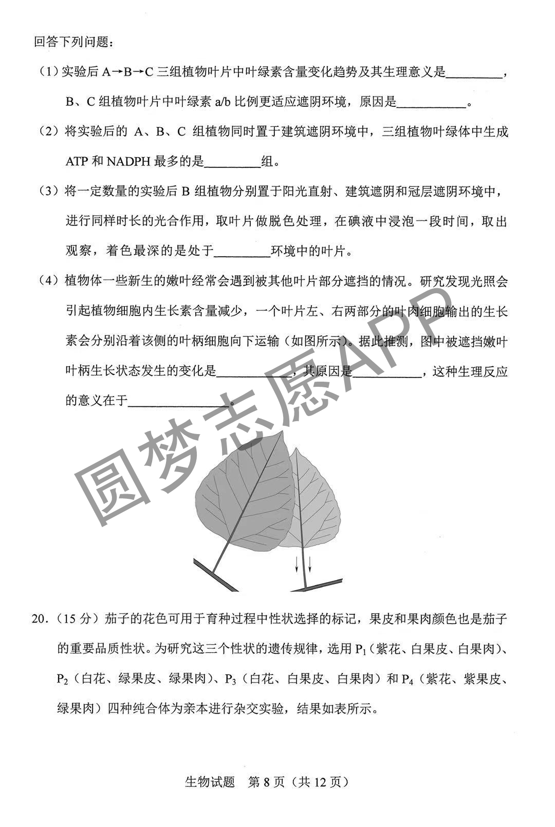 43cee610585c9893.jpg