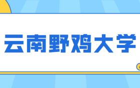 云南垃圾二本大学-云南最差的本科学校（野鸡、虚假大学）