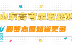 山东96个志愿填报诀窍技巧：怎么录取（2024参考）