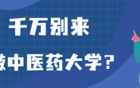 211大学最新排名一览表（116所）