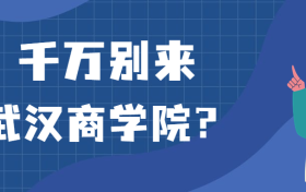 千万别来武汉商学院？为什么都不建议上武汉商学院呢？