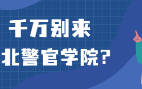 211大学最新排名一览表（116所）