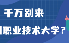 211大学最新排名一览表（116所）