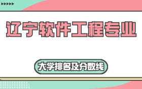 辽宁软件工程专业大学排名及分数线（含2022年高考最低录取分）