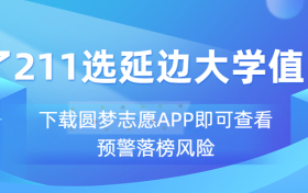 为了211选延边大学值吗？延边大学的211有用吗？含金量如何？