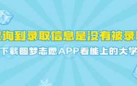 未查询到录取信息是没有被录取吗？为什么录取结果显示暂无录取信息？