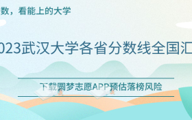 2023年武汉大学投档分数线-武汉大学各省分数线全国汇总