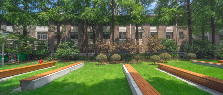 高校专项各学校录取分数线汇总（2026参考）