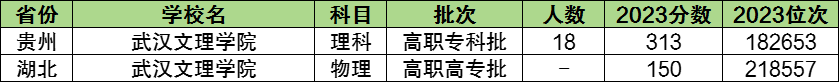 武漢文理學院最低分數線_2023年武漢文理學院錄取分數線(2023-2024各專業最低錄取分數線)_武漢文理學院錄取位次