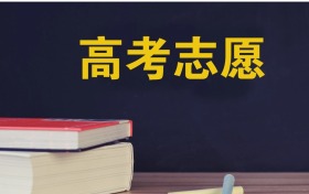 2026年高考平行志愿錄取規(guī)則詳解：有先后順序嗎？附填報(bào)技巧