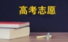 2026年河南新高考志愿填報(bào)規(guī)則詳解：含最新政策解讀