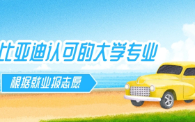 【汽车行业】比亚迪认可的大学专业名单