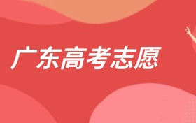 广东高考志愿可以填几个学校？批次与数量全解析