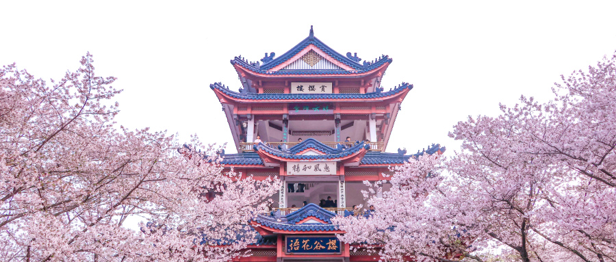 华中科技大学录取规则