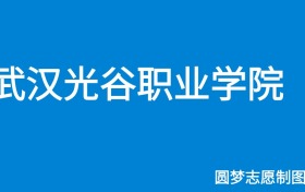 武汉光谷职业学院2024年招生简章（含专科人数、录取规则）