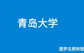 青岛大学2025年招生简章（含本科人数、录取规则）