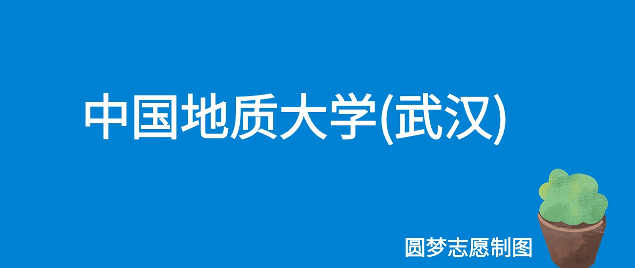 2024年武汉学院录取分数线(2024各省份录取分数线及位次排名)_武汉各学院录取分数线_武汉学院录取位次