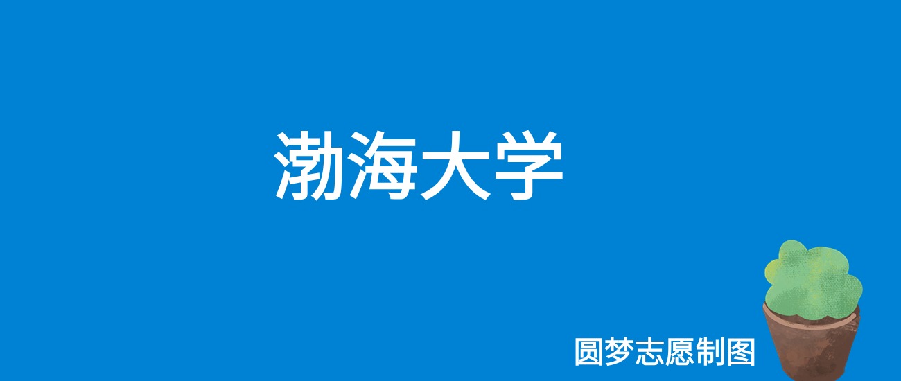 2020年渤海大学录取分数线_2024年渤海大学录取分数线（2024各省份录取分数线及位次排名）_渤海大学是分数线