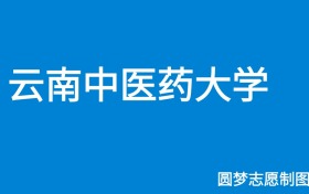 云南中医药大学2024年招生简章（含本科人数、录取规则）