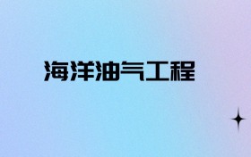 2026物政地可以报海洋油气工程吗？可以报考0所本科大学