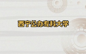 西宁公办专科大学排名（2026年参考）