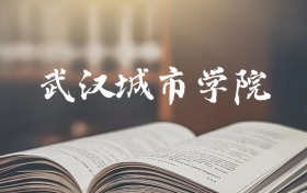武汉城市学院是一本还是二本？2025年专科最低288分录取