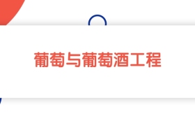2025山東葡萄與葡萄酒工程專業(yè)本科大學排名：最低442分