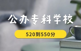 520到550分的公辦專科學校排名表（2026屆考生查看）