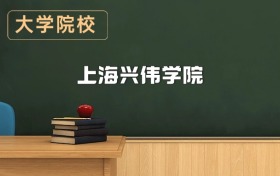 上海興偉學(xué)院2026年招生簡章（含招生計(jì)劃、錄取分?jǐn)?shù)線）
