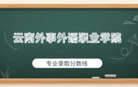 云南外事外语职业学院2025年专业录取分数线：最低243分