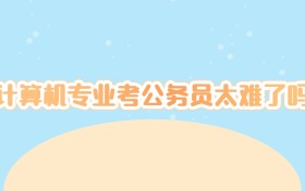 计算机专业考公务员太难了吗
